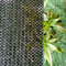 مقاوم للأمطار بركة Agro Green Shade Net 70 بالمائة مقاوم للأشعة فوق البنفسجية